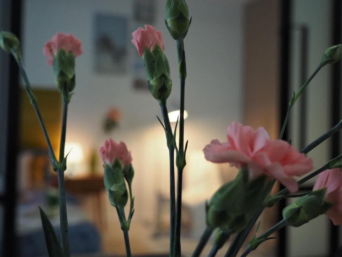 Apartament Amarillo